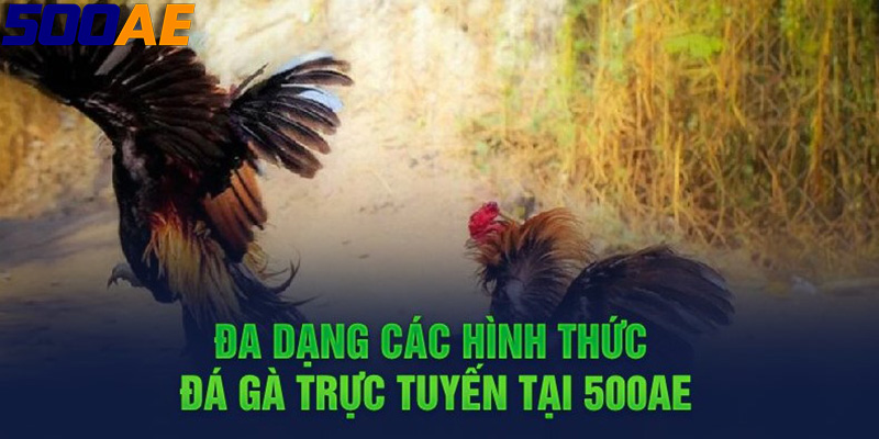 Tạo dựng mạng lưới