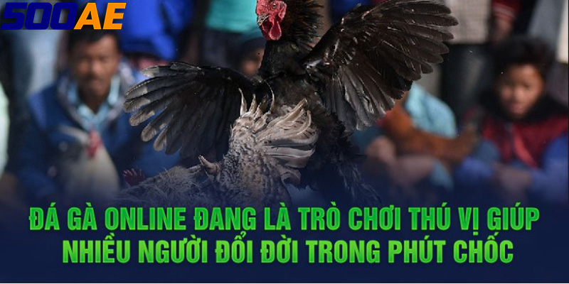 Thể Thao 500AE - Bí Quyết Chiến Thắng Khi Chơi Kèo Thẻ Đỏ